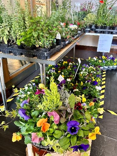 LTC Horticultural Show - Display