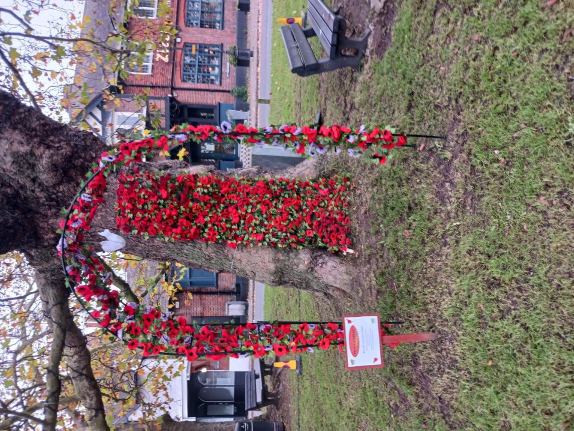 Poppy Arch
