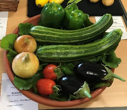 LTC Horticultural Show - Display 