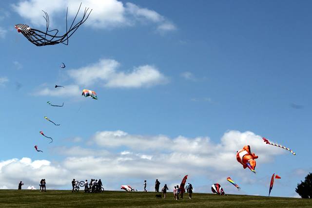 Selection of large kites a black and white spider, a rainbow coloured kite and a large orange and white fish